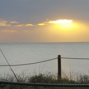 Meet your Posher, Maureen